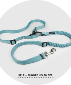 Ashbury Hands-Free Dog Leash