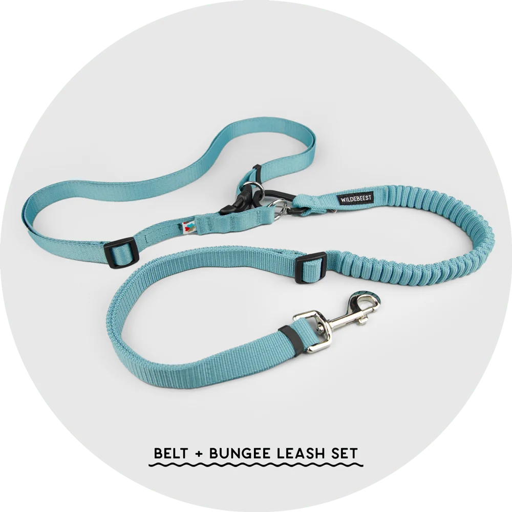 Ashbury Hands-Free Dog Leash