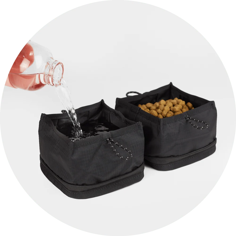 Bernal Pop-Up Dog Bowl