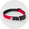 Funston Classic Dog Collar