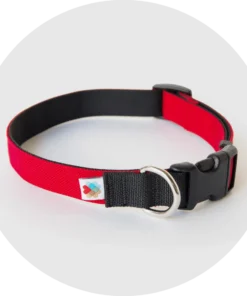 Funston Classic Dog Collar