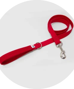Funston Waterproof Dog Leash