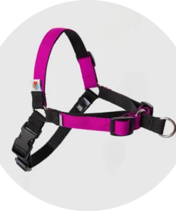 Linden No-Pull Dog Harness