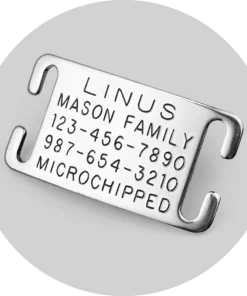 Custom Pet ID Tag
