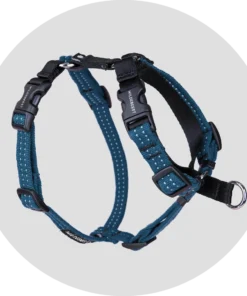Valencia No-Pull Dog Harness