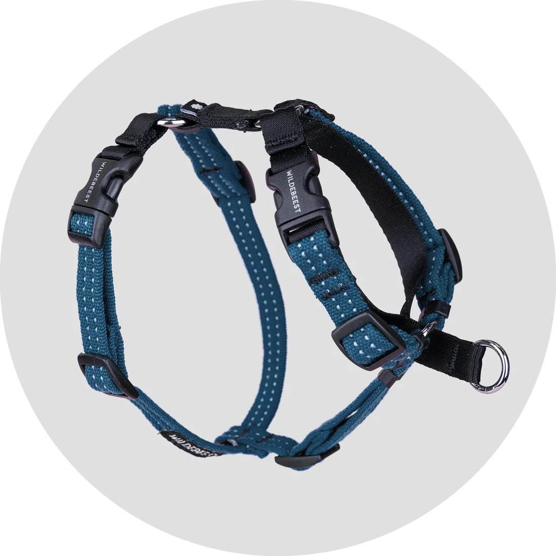 Valencia No-Pull Dog Harness